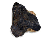 47.5g ZHAMANSHINITE Impact glass and rock fusion from the Zhamanshin meteor crater