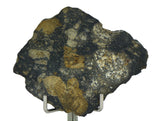 11.24g Eucrite Slice Monomict Basaltic Breccia