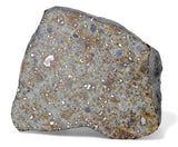 72.73g H5 Chondrite Meteorite half piece with fusion crust I NWA 18056