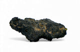 1.46g Carbonaceous Chondrite C3-ung I NWA 12416