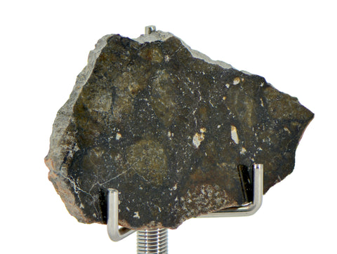 5.58g Eucrite Monomict Slice I HED NWA 8555