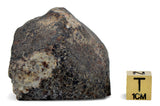 82.38g H5 Chondrite Meteorite half piece with fusion crust I NWA 18056