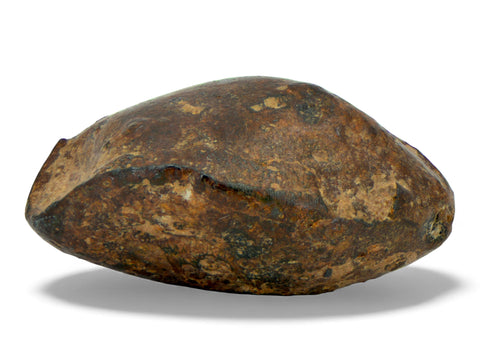 9.29g NWA 859 TAZA meteorite - Ungrouped Iron Meteorite