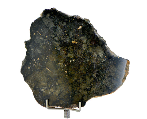 30.58g Eucrite Monomict Slice I HED NWA 8555