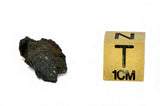1.16g Carbonaceous Chondrite C3-ung I NWA 12416