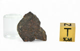 2.79g CR2 Carbonaceous Chondrite Meteorite Slice I NWA 7020
