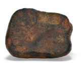 2.94g NWA 859 TAZA meteorite - Ungrouped Iron Meteorite