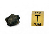 1.36g Carbonaceous Chondrite C3-ung I NWA 12416