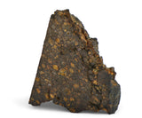 20.63g CR2 Carbonaceous Chondrite Meteorite I NWA 1180