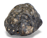 7.74g TOUAT 005 Lunar Breccia Meteorite
