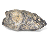 12.96g TOUAT 005 Lunar Breccia Meteorite