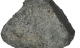 33.5g NWA 12925 I Carbonaceous Chondrite with Very Fresh Fusion Crust