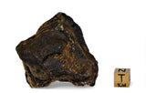 47.5g ZHAMANSHINITE Impact glass and rock fusion from the Zhamanshin meteor crater