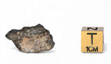 3.04g Lunar Meteorite I Lunar Breccia I NWA 11788