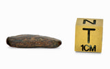 3.94g NWA 859 TAZA meteorite - Ungrouped Iron Meteorite