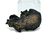 1.44g Carbonaceous Chondrite C3-ung I NWA 12416