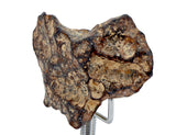 36.52g AGOUDAL Heart shaped Iron Meteorite I IIAB Iron