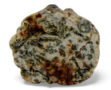 1.49g Erg Chech 002 Ungrouped Achondrite Meteorite end slice