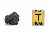 1.11g Carbonaceous Chondrite C3-ung I NWA 12416