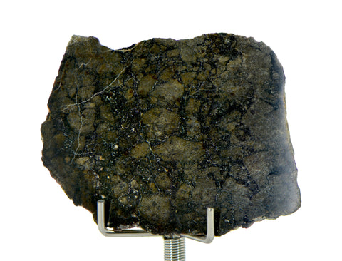 14.5g Eucrite Monomict Slice I HED NWA 8555