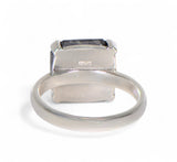 HENBURY Meteorite Ring I Size 6.75 - Meteorite Jewelry