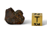 3.29g Mesosiderite Meteorite I NWA 8291