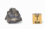 11.07g TOUAT 005 Lunar Breccia Meteorite