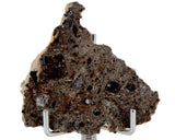 6.30g Tisserlitine 001 Lunar Meteorite end slice