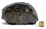356.98g HED Howardite Meteorite Main Mass