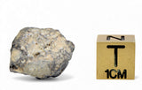 2.02g TOUAT 005 Lunar Breccia Meteorite