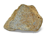 3.23g EL6 Enstatite Chondrite Meteorite I NWA 7401