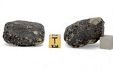 31.19g & 38.29g H5 Chondrite Meteorite half pieces with fusion crust I NWA 18056