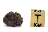 1.16g CR2 Carbonaceous Chondrite Meteorite Slice I NWA 7020
