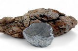 3.34g CARANCAS Meteorite Fragment with Crust and Original Impact Crater I H4-5 Chondrite Rare Crater Maker