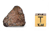 7.38g Lunar Meteorite I Lunar Breccia I NWA 11788