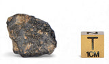 7.74g TOUAT 005 Lunar Breccia Meteorite