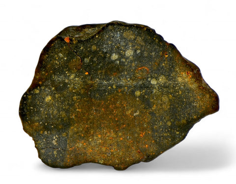 6.5g Rumuruti Chondrite Meteorite end slice - R 3/4 Breccia