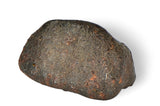 4.27g ORDINARY CHONDRITE Meteorite with FRESH CRUST