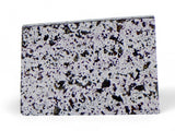 1.55g Ungrouped Chondrite Meteorite Slice I Very Rare I NWA 12273