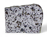 1.27g Ungrouped Chondrite Meteorite Slice I Very Rare I NWA 12273
