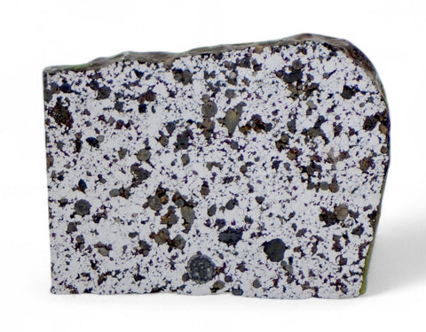 1.27g Ungrouped Chondrite Meteorite Slice I Very Rare I NWA 12273
