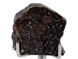 5.48g Acapulcoite Primitive Achondrite Meteorite  I NWA 17906