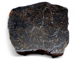 20.42g Acapulcoite Primitive Achondrite Meteorite  I NWA 17906