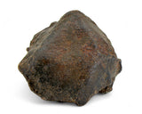 30.59g Errachidia 004 I Winonaite Anomalous Primitive Achondrite Meteorite
