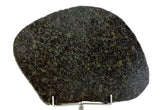 58.21g Ureilite Augite-bearing Achondrite Meteorite Slice I NWA 11900