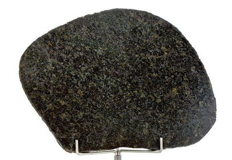 58.21g Ureilite Augite-bearing Achondrite Meteorite Slice I NWA 11900