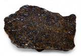 6.71g Acapulcoite Primitive Achondrite Meteorite  I NWA 17906
