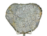 28.85g Unbrecciated Eucrite Slice I HED I NWA 17927