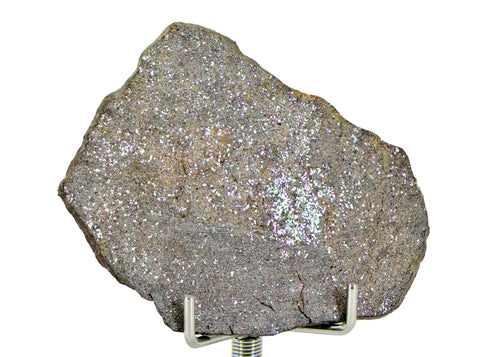 8.6g Errachidia 004 I Winonaite Anomalous Primitive Achondrite Meteorite Slice