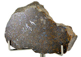 41.09g Acapulcoite Primitive Achondrite Meteorite  I NWA 17906